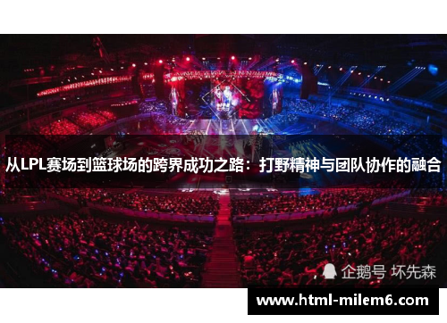 从LPL赛场到篮球场的跨界成功之路：打野精神与团队协作的融合