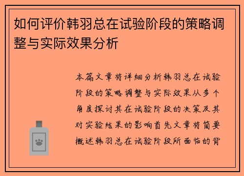 如何评价韩羽总在试验阶段的策略调整与实际效果分析