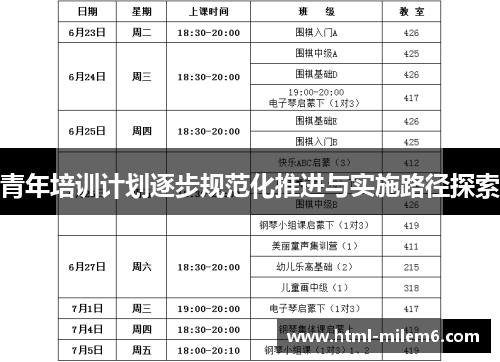 青年培训计划逐步规范化推进与实施路径探索